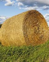 cylindrical straw stacks photo