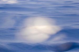 sombra de nieve, primer plano foto