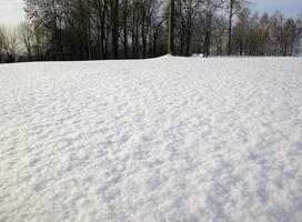 landscape in frosty weather photo