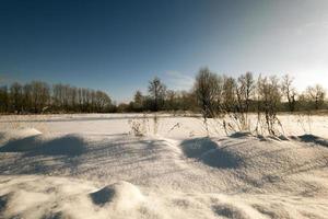 park in winter photo