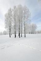 Winter Park. snow. photo