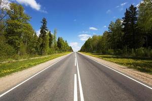 asphalt road . spring photo