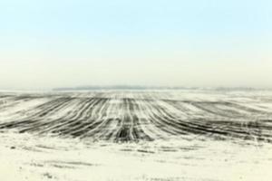 agriculture field in winter photo