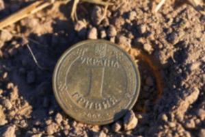 coin in the straw photo