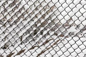 metal mesh in the winter photo