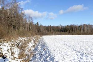 Photo of snow, close-up