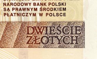 Polish banknotes, close-up photo