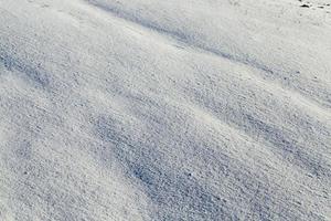 snow covered surface photo