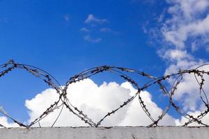 old barbed wire photo