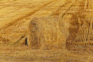 straw stack close up photo