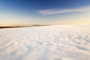 the field covered with snow photo