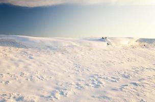 the field covered with snow photo