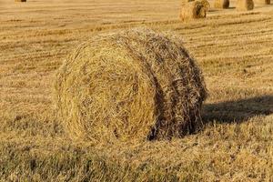 straw stack close up photo