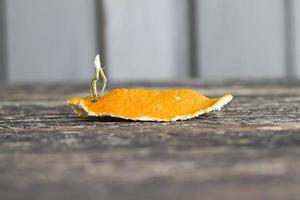 Dry peel mandarin photo