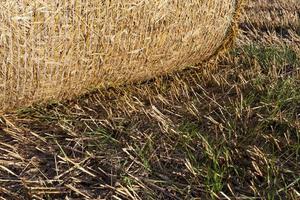 stubble and straw stacks photo