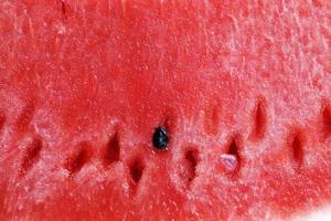 pieces of red watermelon photo