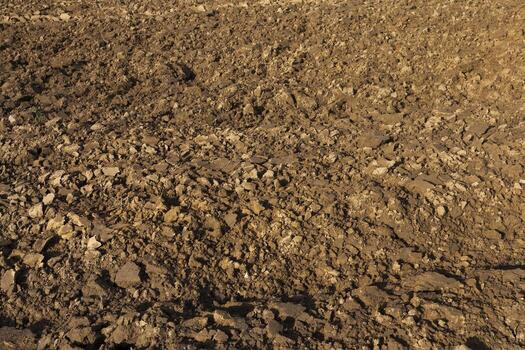 pedazos de tierra en el campo foto