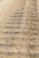 close up of a rural sand road photo