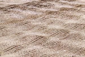 part of a sandy road in the countryside photo