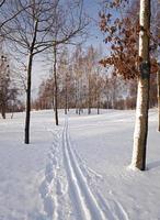el camino de invierno - el camino cubierto de nieve a una temporada de invierno foto