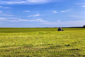 mowing grass .  field. photo