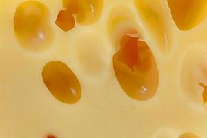 Cheese close up photo