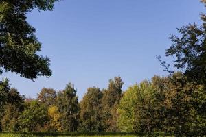 colorful deciduous trees in the forest autumn photo