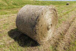 stubble and straw stacks photo