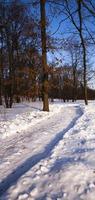 el camino de invierno - la carretera en una temporada de invierno. el camino esta cubierto de nieve foto