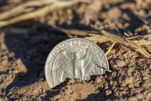 las monedas americanas son centavos foto