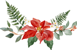 collection de couronnes de bouquet de fleurs de noël aquarelle png