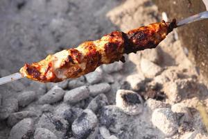 shish kebab  close up photo