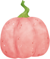 acuarela naranja calabaza pintada a mano png