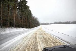 camino de invierno, bosque foto