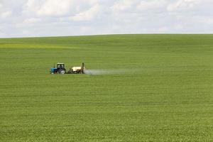 tierras agrícolas en términos foto