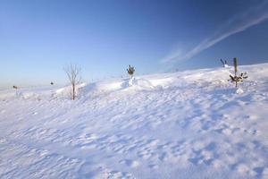 snow-covered field - a field covered with white snow in a winter season photo