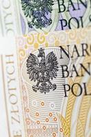 European money in Poland photo
