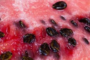 ready to eat chunks of red watermelon photo