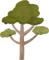 Watercolor cute tree png