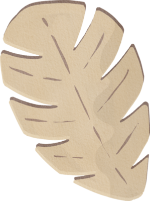 Brown Leaf PNGs for Free Download