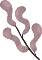 aquarel bladeren abstract png