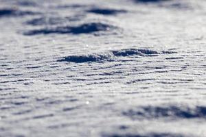 land covered with snow photo