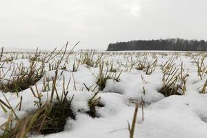 in winter, day photo