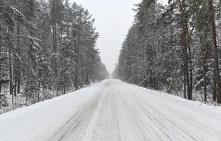 winter road, forest photo