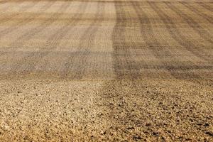 un campo agrícola foto