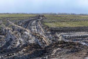 road in a field photo