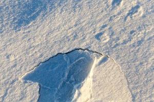 tracks in the snow photo