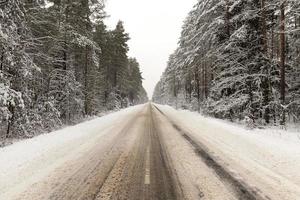 road built in a forest photo