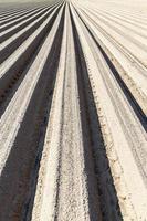 furrows in the field photo