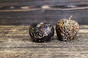 mildew covered blackened black apples photo